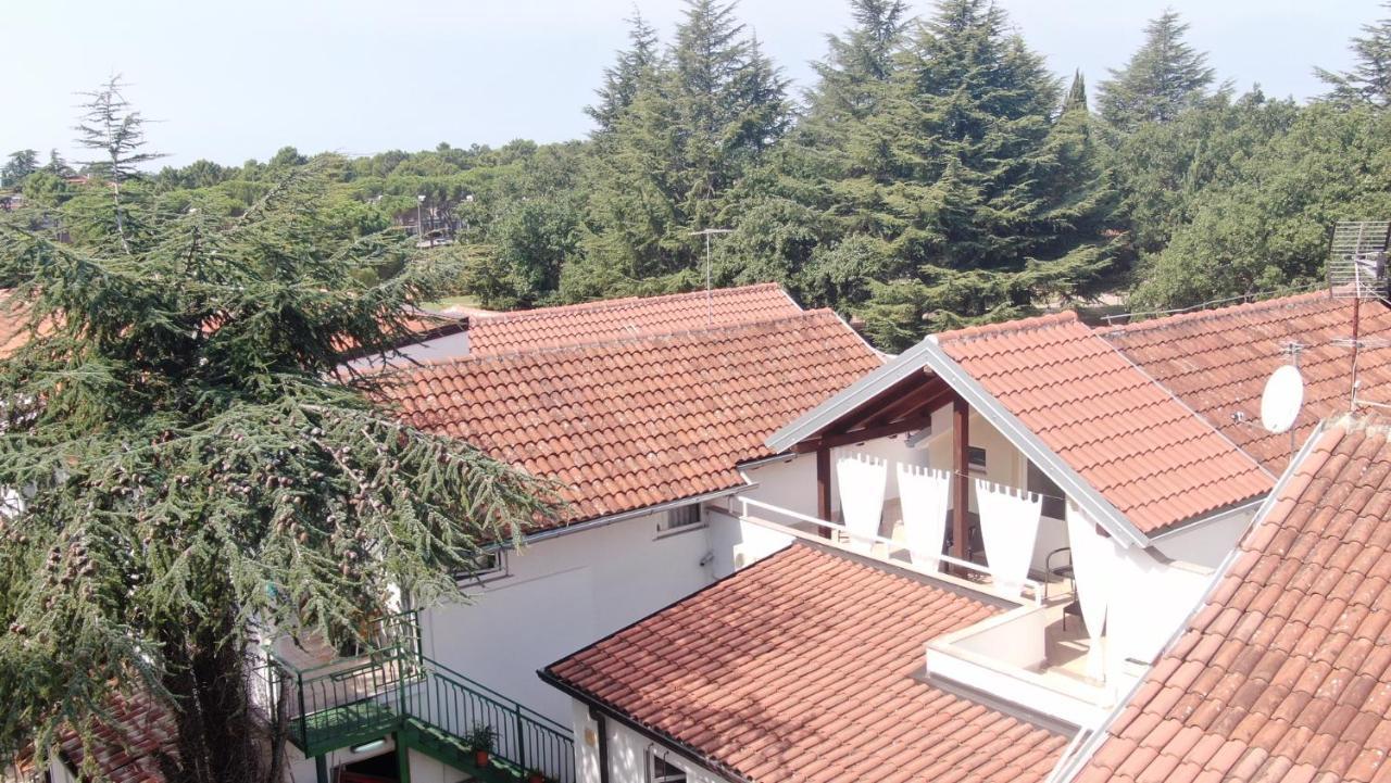 Apartment Katoro Umag Dış mekan fotoğraf